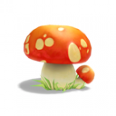 Enchanted Toadstool